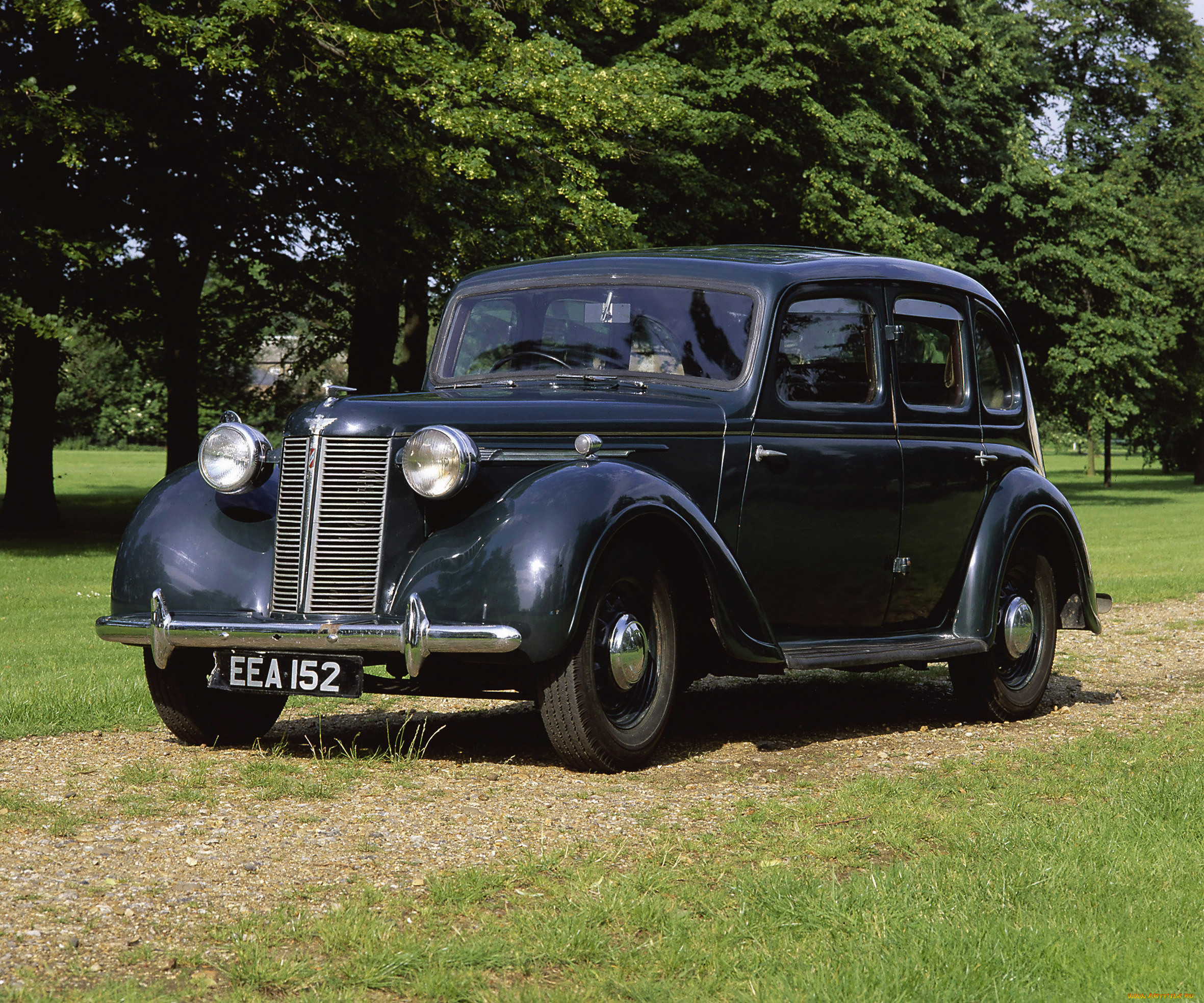 , austin, austin-healy